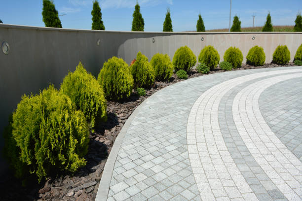 Reasons to Select Us for Your Driveway Paving Requirements in Southworth, WA